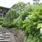 「そうだ、京都・洛西の穴場の寺社、行こう。」