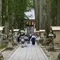 宿坊に泊まって高野山を楽しみ尽くす旅