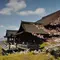 日本大好き卒業旅行