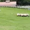 清里 撮影 ドライブ