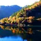 「愛知のてっぺん」豊根村の紅葉スポット！