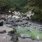 わんこと草津
