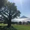 知覧からコミュニティバスで行く絶景の番所鼻自然公園シーホーウォークと釜蓋神社