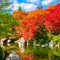 紅葉と芸術の秋🍁