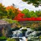 島鳥岡紅葉ドライブ