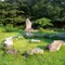 埼玉ツアー