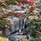 日帰りで紅葉と温泉を満喫