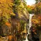 東京から日帰り。昇仙峡で紅葉の旅withわんこ