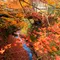 まだ粘る中国地方紅葉ドライブ🍁