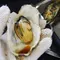冬の塩釜・松島  美味しい海鮮を食べに行こう！