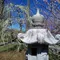 花咲かタイムズ【三重県・津市】
