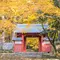 湖東三山紅葉🍁狩ツアー