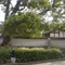 鴻池新田と徳庵