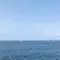 のんびり葉山ライフ