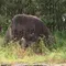 浜坂で海に親しむ♪