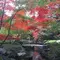 荻窪ぶらり