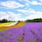 絶景HOKKAIDO