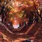 🍁紅葉狩り🚗河口湖と浅間神社⛩