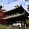 そうだ、京都へ紅葉を見に行こう🍁