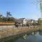 倉敷美観地区を歩く