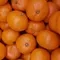 松山みかんシリーズ🍊
