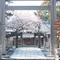 桜🌸を見に🚢横浜散歩