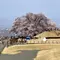 山梨&ちょっぴり長野~春旅行🌸~