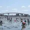 5月～6月限定！東京から潮干狩り