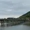 京都人がお勧めする！嵐山•嵯峨野エリアの名スポット♪