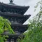 神仏巡り❁京都市東山区・伏見区(随時更新)