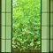 🌿 叡電で巡る 新緑の京都ひとり旅 🌿