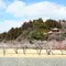 期日限定列車で行く梅園祭りの水戸偕楽園