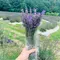 10日間ひとり旅〜庄原・芸北〜