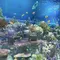 DMMかりゆし水族館とビーチを楽しむおでかけプラン