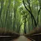 京都嵐山〜竹林を満喫〜