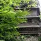 箕面公園