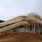 地球史上最大級の生物／シロナガスクジラを求めて