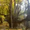 岡山一周の旅〜津山・蒜山〜