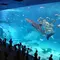 沖縄美ら海水族館に行くならば、美ら海「以外」も大事です