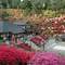 日帰り奥多摩自然満喫の旅