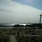 か～さい　かさい　葛西臨海公園で楽しむ休日のひととき