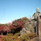 人混みを避けて楽しめる！食べて歩いて鎌倉1日旅行