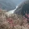 月ヶ瀬と青山高原