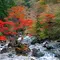 曜日限定！２００円で行くローカルバス＆さんぽ旅（火曜日編）渓谷と自然水、山の駅で一休み