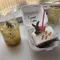 【ソウル🇰🇷】かわいくてお洒落なカフェを巡る韓国旅行(2泊3日)