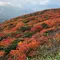 【宮城】シーズン到来！紅葉の名所🍁栗駒山を訪れる1泊2日