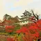 郡上八幡城→名もなきモネの池→鮎川へ