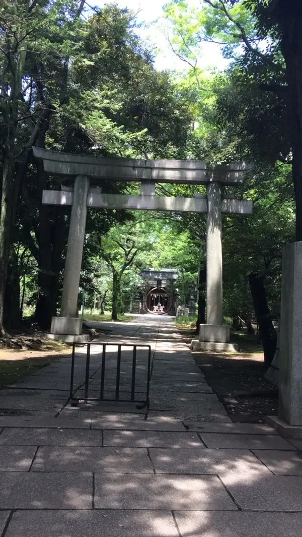 都心の森。癒やしの空間です
