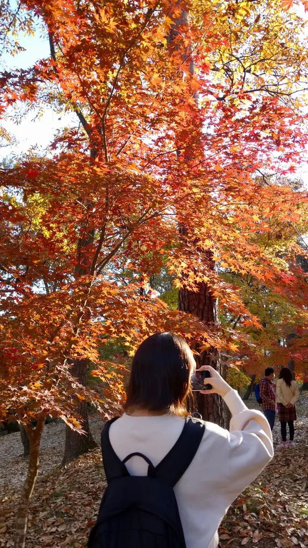シャッターを押す手が止まらない