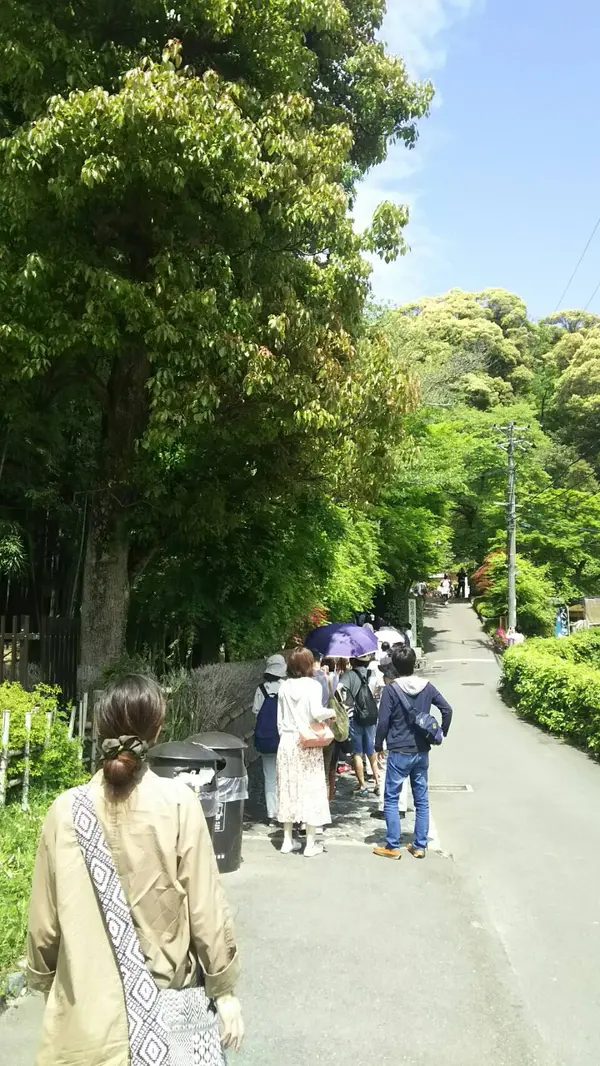 新緑が気持ち良い入り口